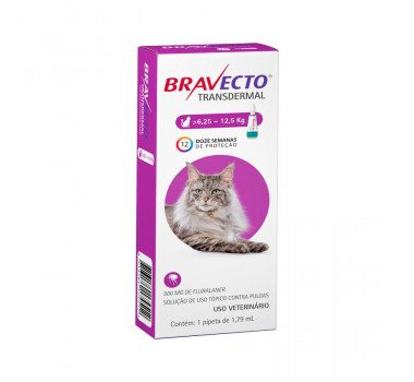 Bravecto Transdermal 500mg MSD para Gatos 6,25 - 12,5Kg 