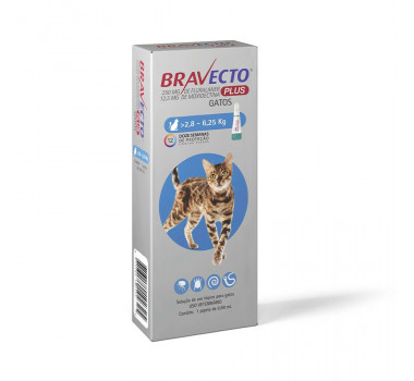 Bravecto Plus 250mg MSD para Gatos 2,8-6,25Kg 