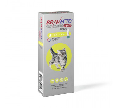 Bravecto Plus 112,5mg MSD para Gatos 1,2-2,8Kg