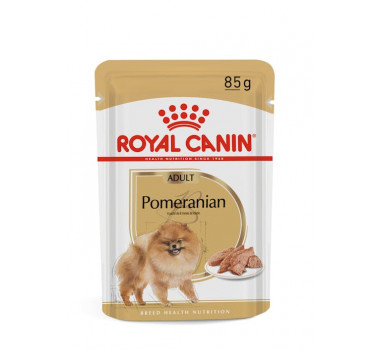 Ração Úmida Sachê Royal Canin Adult Pomeranian para Cães Adultos da Raça Pomeranian - 85g 