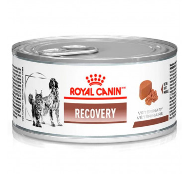 Ração Úmida Lata Royal Canin Veterinary Diet Recovery para Cães e Gatos - 195g