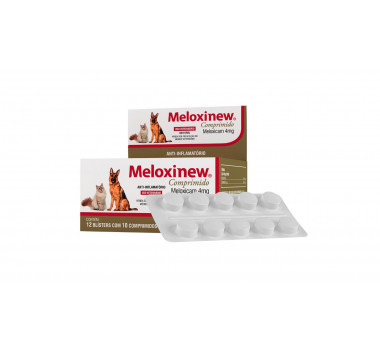 Anti-Inflamatório Meloxinew Vetnil 4mg para Cães e Gatos - 10 comprimidos