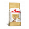Ração Seca Royal Canin Yorkshire 8+ para Cães Idosos da Raça Yorkishire Terrier - 2,5Kg - 1