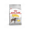 Ração Seca Royal Canin Maxi Dermacomfort para Cães Adultos Porte Grande - 10,1Kg - 1