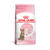 Ração Seca Royal Canin Kitten Sterilised para Gatos Filhotes Castrados  - 1,5kg - 1