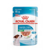 Ração Úmida Sachê Royal Canin Mini Puppy para Cães Filhotes Porte Pequeno - 85g - 1