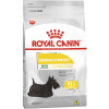 Ração Seca Royal Canin Mini Dermacomfort para Cães Adultos de Porte Pequeno - 1Kg - 1