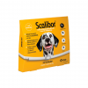 Coleira Antiparasitária Scalibor MSD para Cães 65cm - 25g - 1