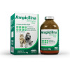 Antibiótico Ampicilina Vetnil para Cães e Gatos - 50g - 1