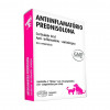 Anti-Inflamatório Prednisolona 20mg Paraquenos para Cães e Gatos - 10 comprimidos - 1