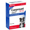 Anti-inflamatório Carprovet 100mg Coveli para Cães e Gatos - 14 comprimidos - 1