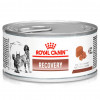 Ração Úmida Lata Royal Canin Veterinary Diet Recovery para Cães e Gatos - 195g - 3