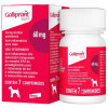 Anti-inflamatório Galliprant Elanco para Cães 60mg- 7 comprimidos - 1