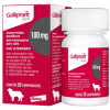 Anti-inflamatório Galliprant Elanco para Cães 100mg- 30 comprimidos - 1