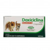 Antibiótico Doxiciclina 25mg Vetnil para Cães e Gatos - 14 comprimidos - 1