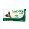 Antibiótico Doxiciclina 100mg Vetnil para Cães e Gatos - 14 comprimidos - 1