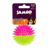 Brinquedo Bola Espinho Dual Color Média Jambo para Cães - 1