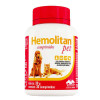 Suplemento Hemolitan Pet Vetnil para Cães e Gatos 30g - 30 comprimidos - 1