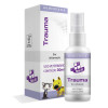 Spray Homeopático Trauma Homeopet RealH para Cães e Gatos - 30ml - 1