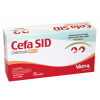 Antimicrobiano Cefa Sid 440mg Vansil 10 comprimidos - 1