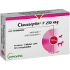 Antibiótico Clavaseptin P 250mg Vetoquinol para Cães e Gatos  - 1