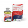 Anti-inflamatório Maxicam 0,2% Injetável Ourofino - 20ml - 1