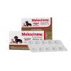 Anti-Inflamatório Meloxinew Vetnil 1mg para Cães e Gatos - 10 comprimidos - 1