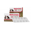 Anti-Inflamatório Meloxinew Vetnil 2mg para Cães e Gatos - 10 comprimidos - 1