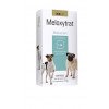 Anti-inflamatório Meloxytrat 1mg UCBVET para Cães - 10 comprimidos - 1
