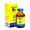 Suplemento Monovin B1 Injetável Bravet - 20ml  - 1