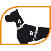Peitoral Ergocomfort Ferplast para Cães Azul - Tamanho PP - 5