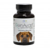 Suplemento Vitamínico Renavast 1000mg Inovet para Cães - 60 cápsulas - 1