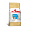 Ração Seca Royal Canin Puppy Bulldog Francês para Cães Filhotes da Raça Bulldog Francês - 1kg - 1
