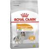 Ração Seca Royal Canin Mini Coat Care para Cães Adultos Raças Pequenas - 2,5Kg - 1
