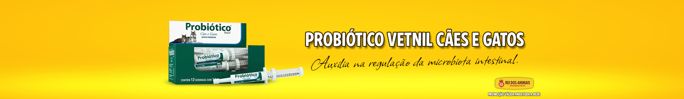 Banner Full 2