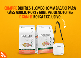 Mosaico 1.3 - Pequeno