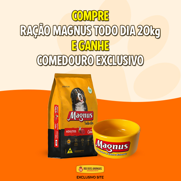 Banner Full 4