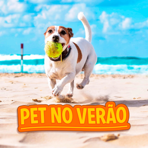 Pets no Verão: 3 cuidados na estação mais quente do ano