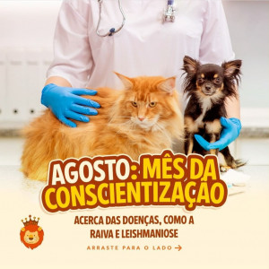 Agosto: Vacinação anual de cães e gatos 