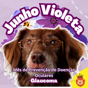 Junho Violeta