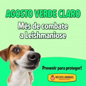 Agosto verde claro