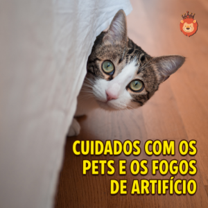 Cuidados  com os pets e os fogos de artifício