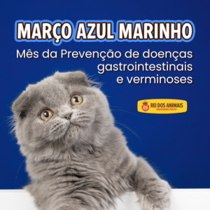 Março Azul Marinho
