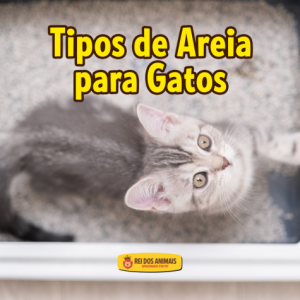 Tipos de Areia para Gatos
