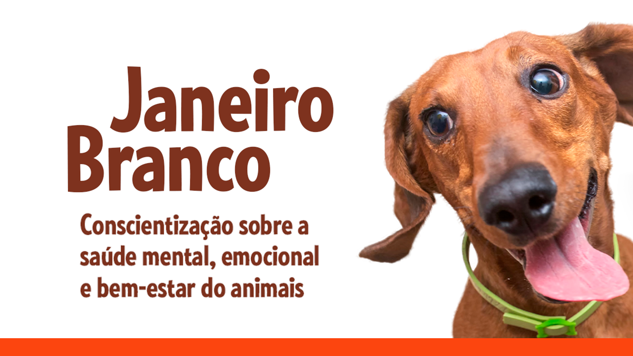 Janeiro Branco no Pet Shop Rei dos Animais