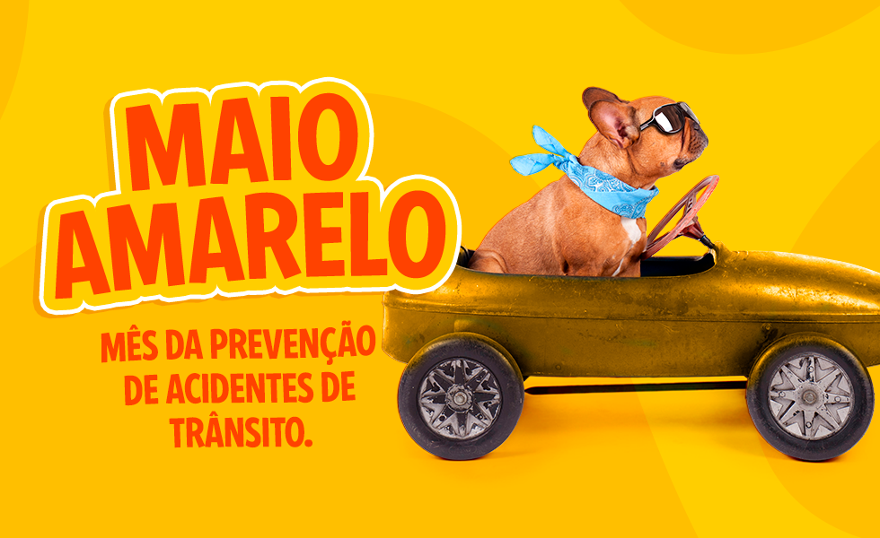 Maio Amarelo - Pet Shop Rei dos Animais