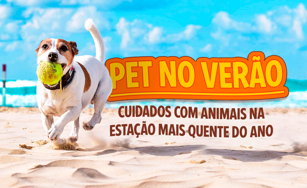 Pet no verão no Pet Shop Rei dos Animais