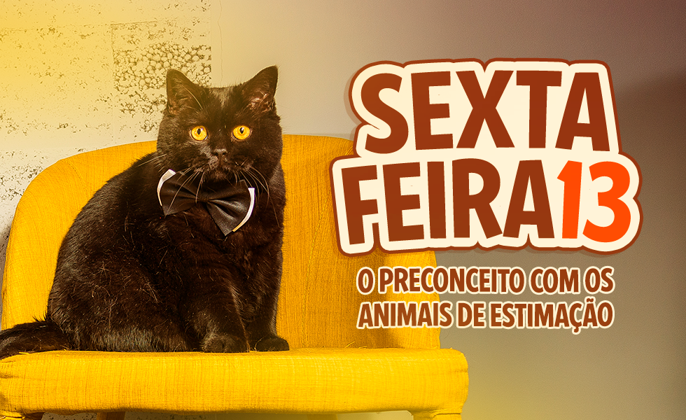 Sexta-Feira 13 blog/reidosanianimais