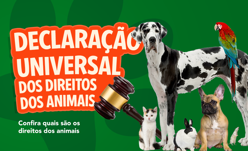 Direitos dos Animais - Direitos dos Animais