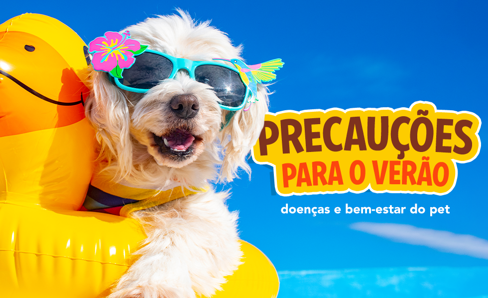 Precauções para o verão - Pet Shop Rei dos Animais